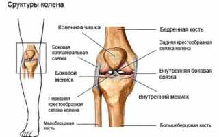Что нужно знать о растяжении связок колена?