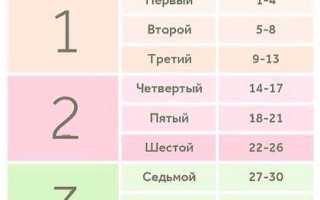 Флюорография на ранних сроках беременности: как она влияет на плод