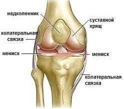 Мениск коленного сустава